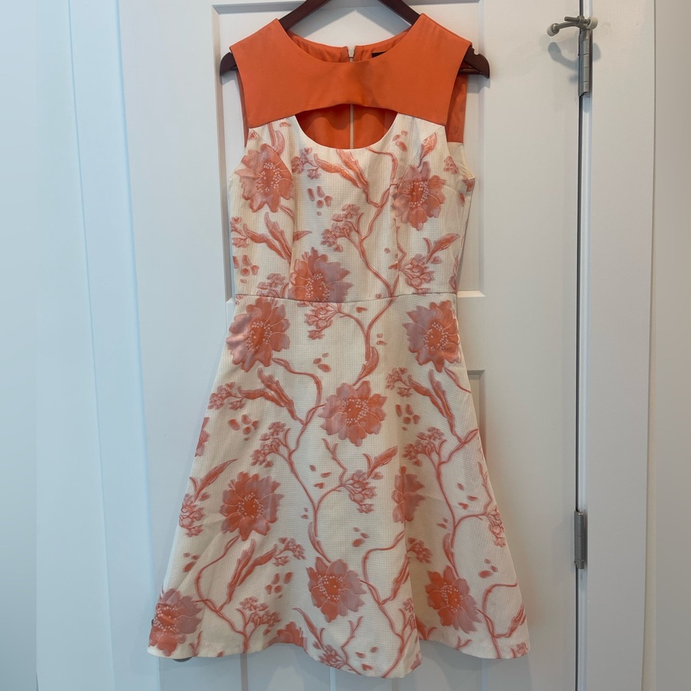 Bigio Collection: Floral Sleeveless Dress, Size 6